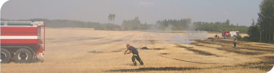 Paalauskone banneri2